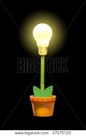 Planta brilhante no pote. Isolado