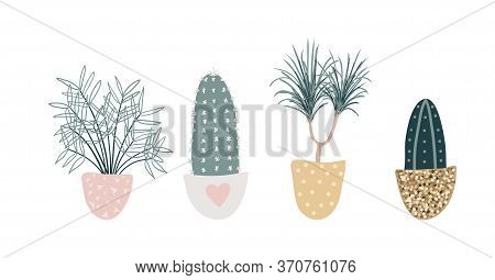 Collection Of Decorative Houseplants Isolated On White Background. Set Of Beautiful Natural Home Dec