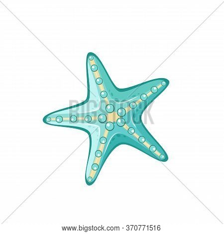 Blue Sea Shell Stock Vector Illustration Isolated On White Background