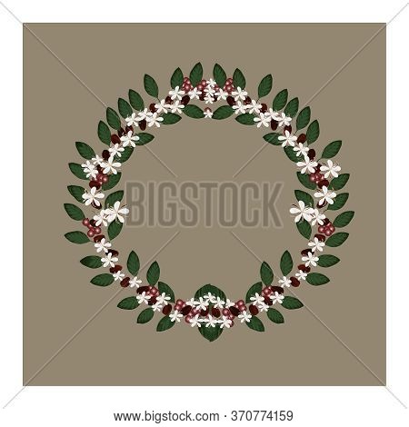 Pattern With Coffee Beans, White Flowers, Green Leaves Of The Coffee Tree. A Wreath-shaped Pattern W