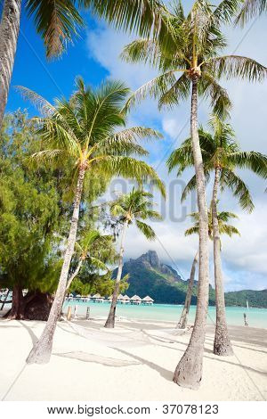 Smukke strand med udsigt over Otemanu-bjerget på Bora Bora island
