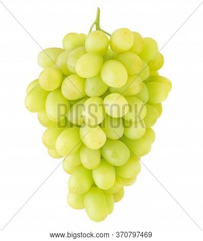 Claster Of Thompson Table White Grapes Hanging On A Stem Isolated On White Background