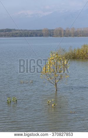 Panorama Of Koprinka Reservoir, Stara Zagora Region, Bulgaria