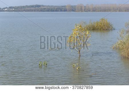 Panorama Of Koprinka Reservoir, Stara Zagora Region, Bulgaria