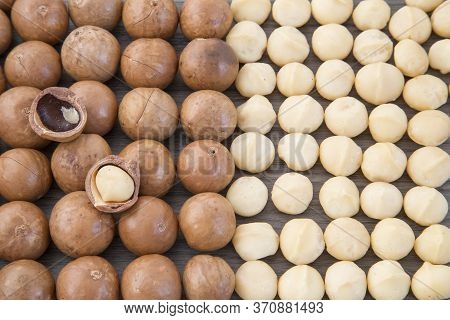 Macadamia Nuts - Macadamia Integrifolia. Text Space