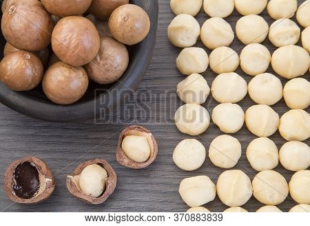 Macadamia Nuts - Macadamia Integrifolia. Top View