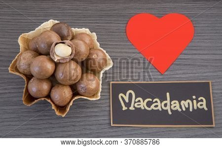 Macadamia Nuts - Macadamia Integrifolia. Text Space