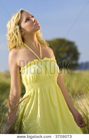 Enviado del cielo