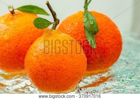 Three Orange Tangerines With A Branch And Leaves Stand In The Water On A White Background