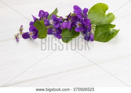 Voila Flowers On White Wooden Board, Greeting Card Template