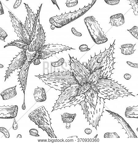 Seamless Pattern With Hand Drawn Aloe Vera Lives And Flower In Black Color Isolated On White Backgro