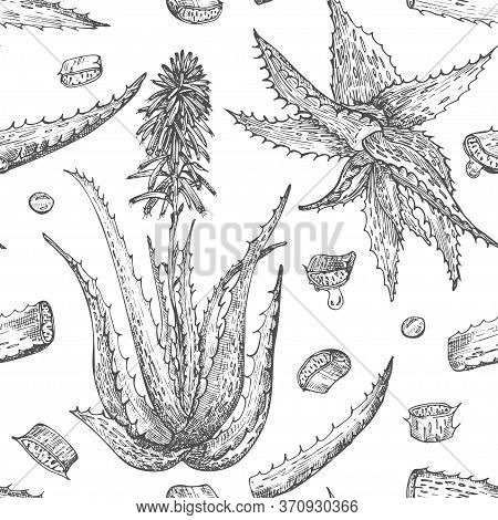 Seamless Pattern With Hand Drawn Aloe Vera Lives And Flower In Black Color Isolated On White Backgro