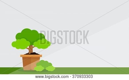 Small Tree Pot At White Grey Wall Background And Copy Space, Potted Tree For Clip Art, Floral Pot Or