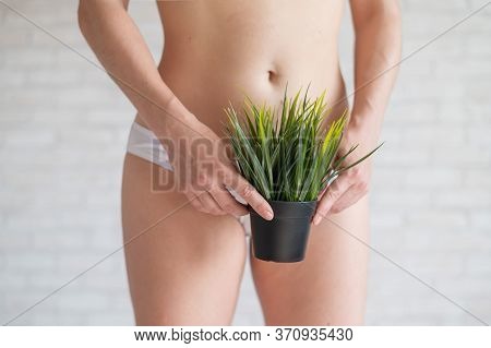 A Woman In White Panties Holds A Pot With A Bushy Plant On A Background Of Light Bricks. Refusal Of 