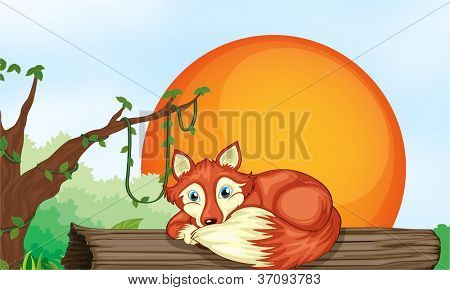 Abbildung von einem Fuchs auf Holz im Dschungel