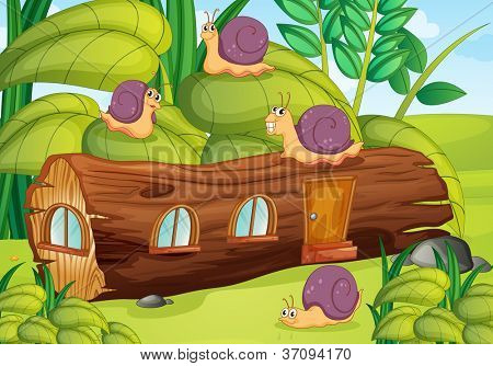 illustrazione di casa in una natura splendida e lumache