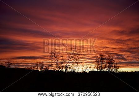 Silhouette Of Trees With Beautiful Red Cloudy Sunset