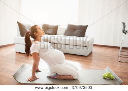 A Pregnant Woman Works Out On A Yoga Mat At Home. Pregnancy And Sports. Oga And Pilates For Pregnant
