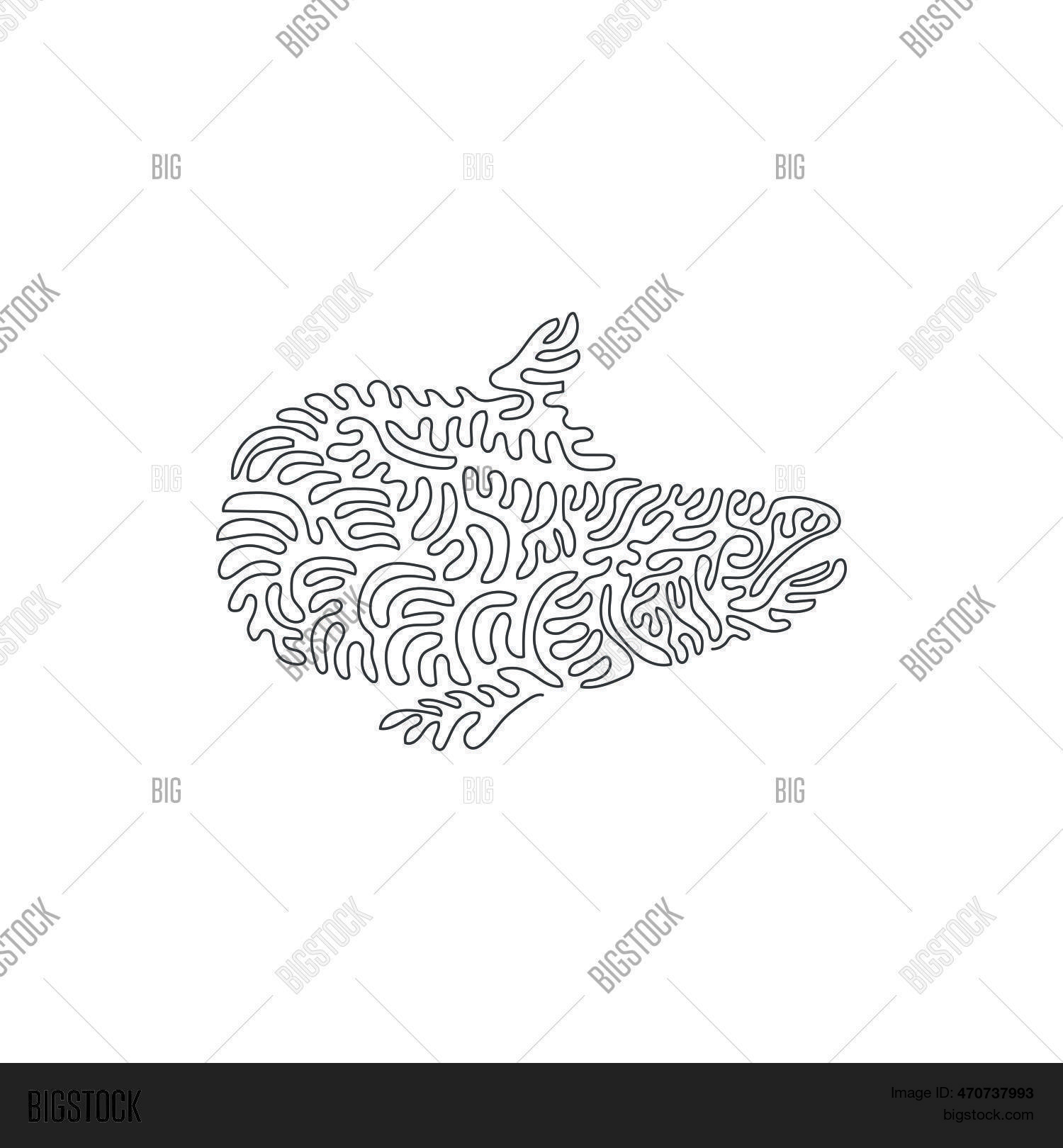 Continuous Curve One Vector & Photo (Free Trial) | Bigstock