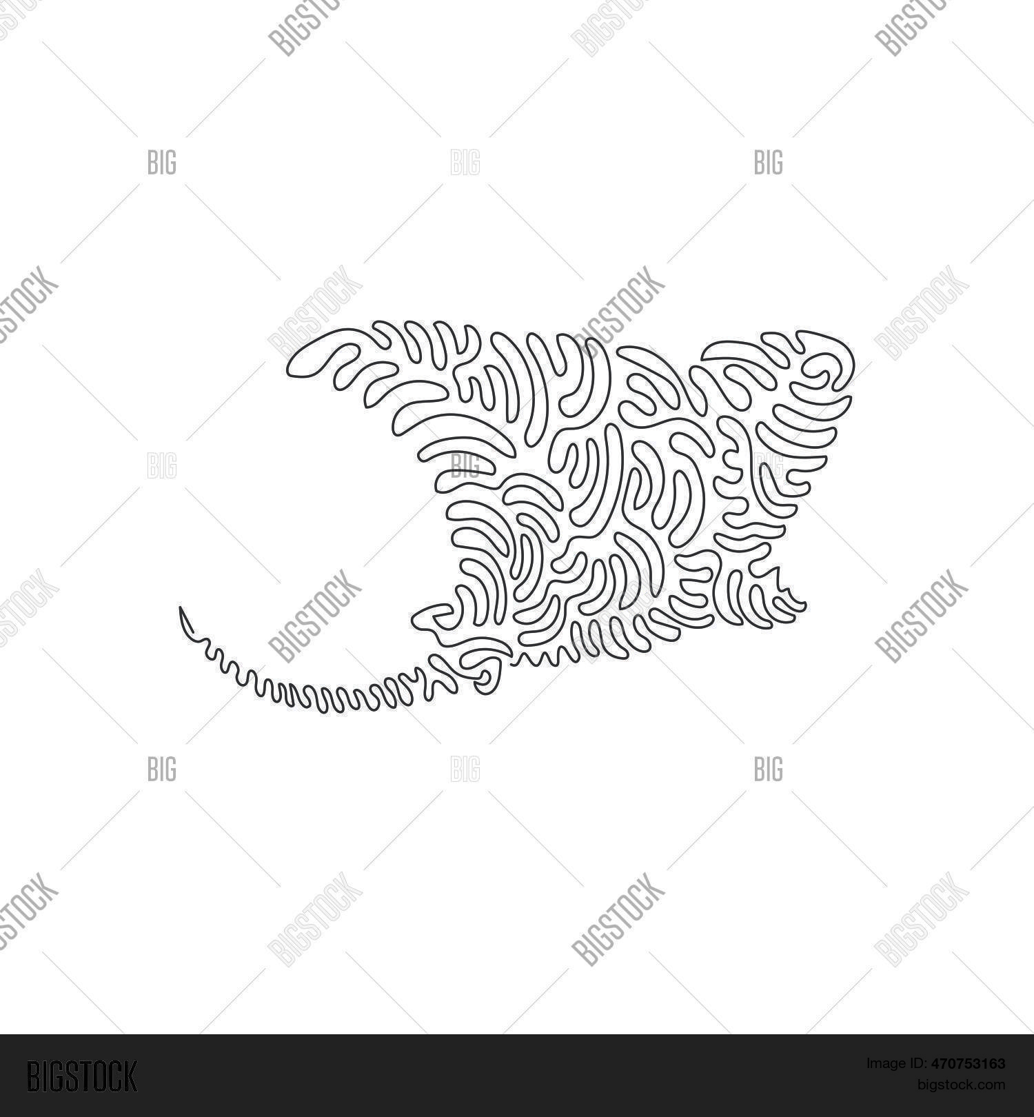 Continuous Curve One Vector & Photo (Free Trial) | Bigstock