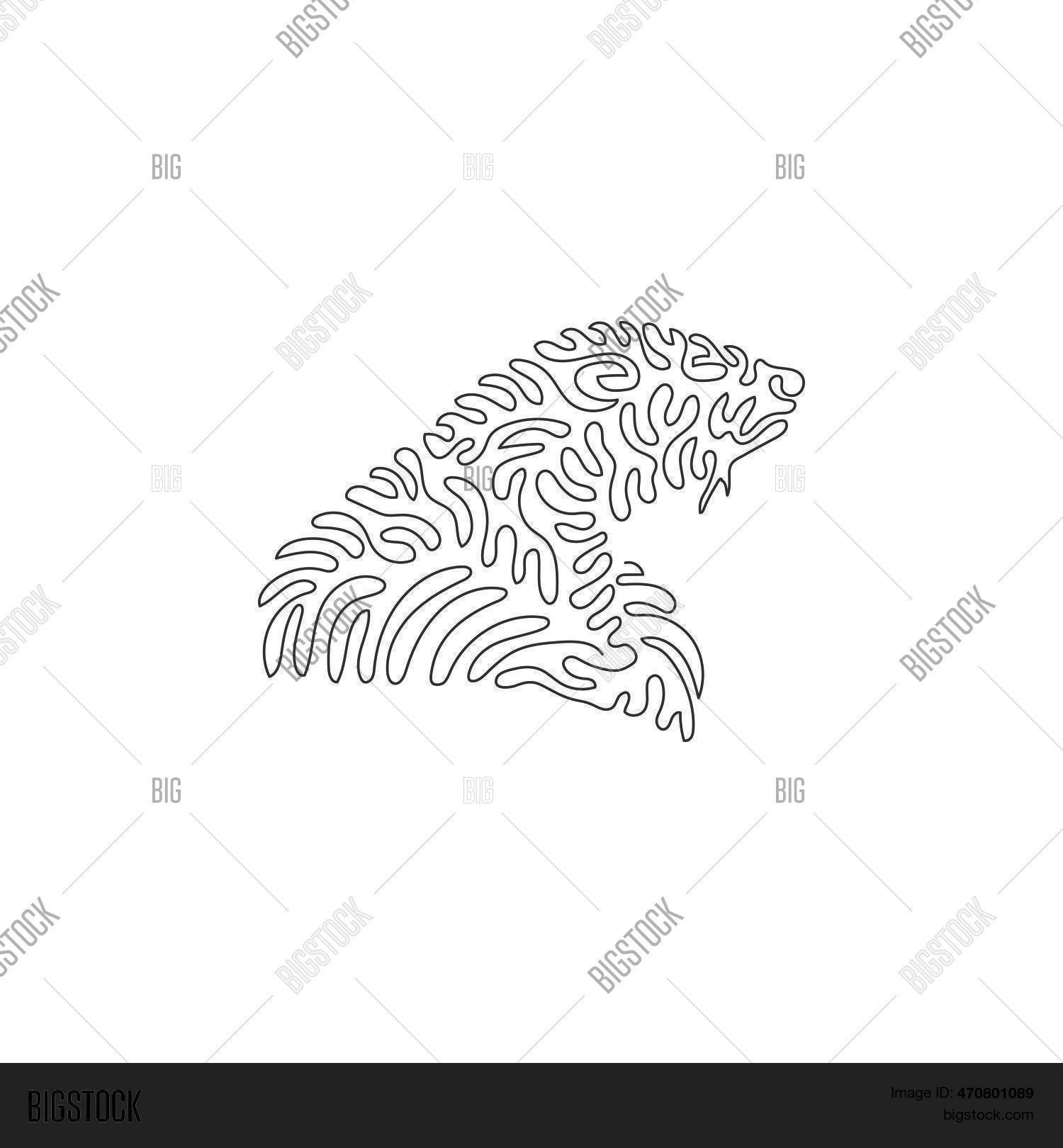 Continuous Curve One Vector & Photo (Free Trial) | Bigstock