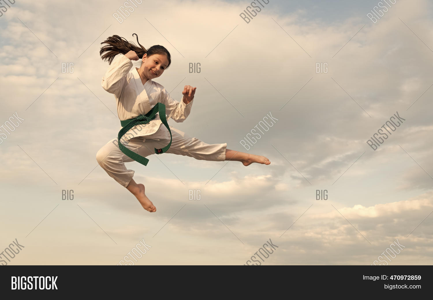 Martial Art Concept. Image & Photo (Free Trial) Bigstock