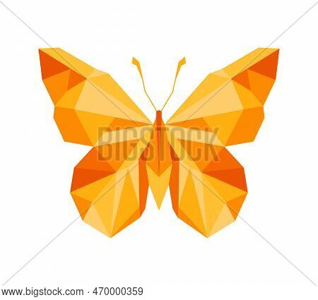 Polygonal Butterfly, Natural Icon And Logo. Vector Illustration Isolated On White Background. Colorf