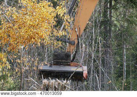 Forestry Mulcher Excavator Clears Roadside From Small Trees And Shrubs.
