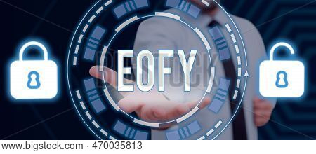 Text Sign Showing Eofy. Business Overview A Mega Sale Held On An End Of A Financial Year