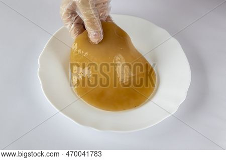 Scoby, Hand Holding Tea Mushroom For Kombucha Tea, Healthy Fermented Food. The Fermentation Process.