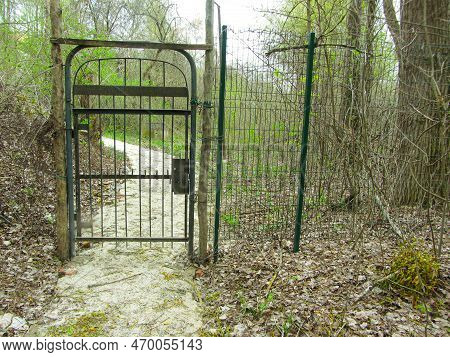 Brown Painted Metal Gate With Green And White Rods And Old Dirty Flaked Glass Street Lamp In Grapevi
