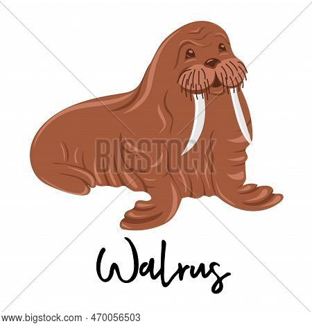 Walrus. Marine Dweller. Concept Of Sea And Ocean Life. Vector Illustration