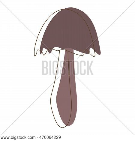 Coprinus Mushroom. Edible Organic Mushrooms. Truffle. Forest Wild Mushrooms Types. Colorful Vector I