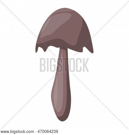 Coprinus Mushroom. Edible Organic Mushrooms. Truffle. Forest Wild Mushrooms Types. Colorful Vector I