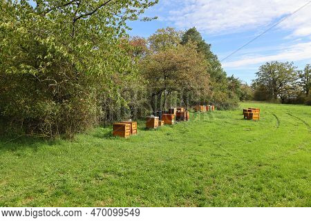 Beehives On A Meadow Near Weissach In The Summer