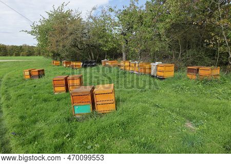Beehives On A Meadow Near Weissach In The Summer