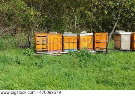 Beehives On A Meadow Near Weissach In The Summer