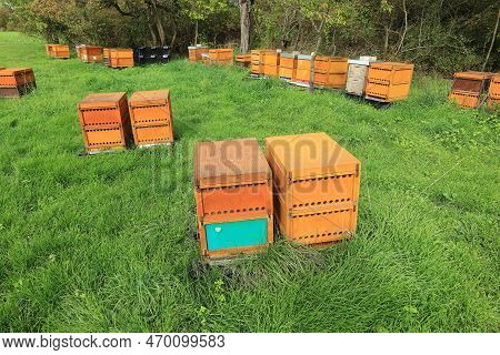 Beehives On A Meadow Near Weissach In The Summer