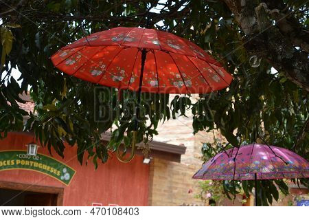 Umbrellas Hanging On A Sunday Sidewalk Path