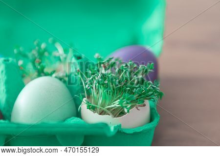 Decorative Handmade Easter Egg Present Box With Eggs And Cress. Beautiful Decoration Easternest Bask