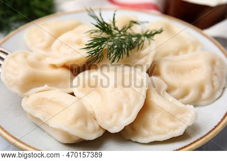 Cooked Dumplings (varenyky) With Tasty Filling And Dill On Plate, Closeup