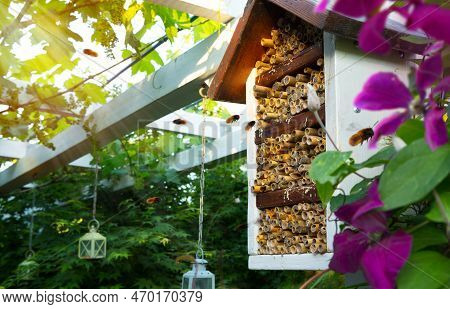 Spring Care For The Ecological Garden. Spring Blooming Garden And Mason Osmia Bee House