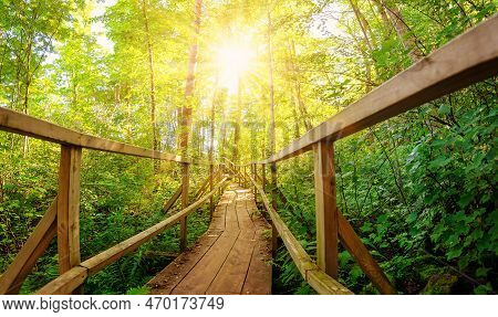 Footbridge In Wilderness In Natural Forest In Ontika, Estonia.