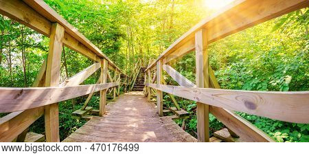 Footbridge In Wilderness In Natural Forest In Ontika, Estonia.