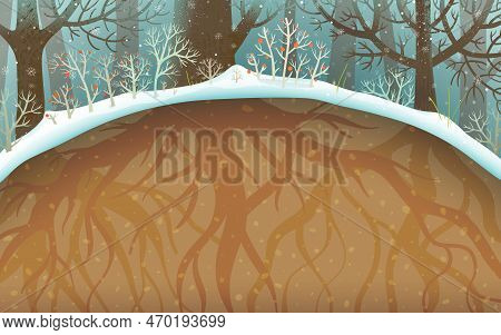 Winter Forest With Roots Below Ground, Trees And Bushes Covered With Snow And Snowfall. Woods With R