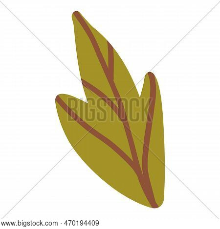 Colored Pumpkin Leaf Hand Drawn Vector Graphic Illustration. Colorful Drawing Autumn Vegetable Whole