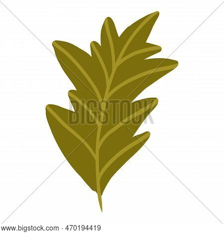 Colored Pumpkin Leaf Hand Drawn Vector Graphic Illustration. Colorful Drawing Autumn Vegetable Whole