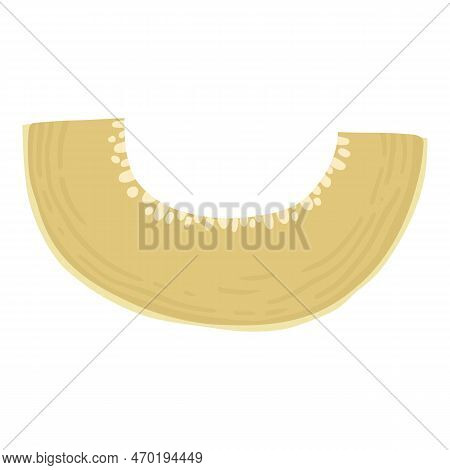 Colored Pumpkin Hand Drawn Vector Graphic Illustration. Colorful Drawing Autumn Vegetable Whole, Sli