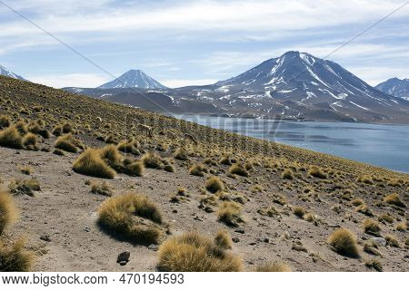 Vies Of The Highland Lagoons Miscanti And Miniques