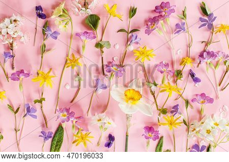 Colorful Spring Flowers Flat Lay On Pink Background. Spring Composition With Fresh Wildflowers. Hell